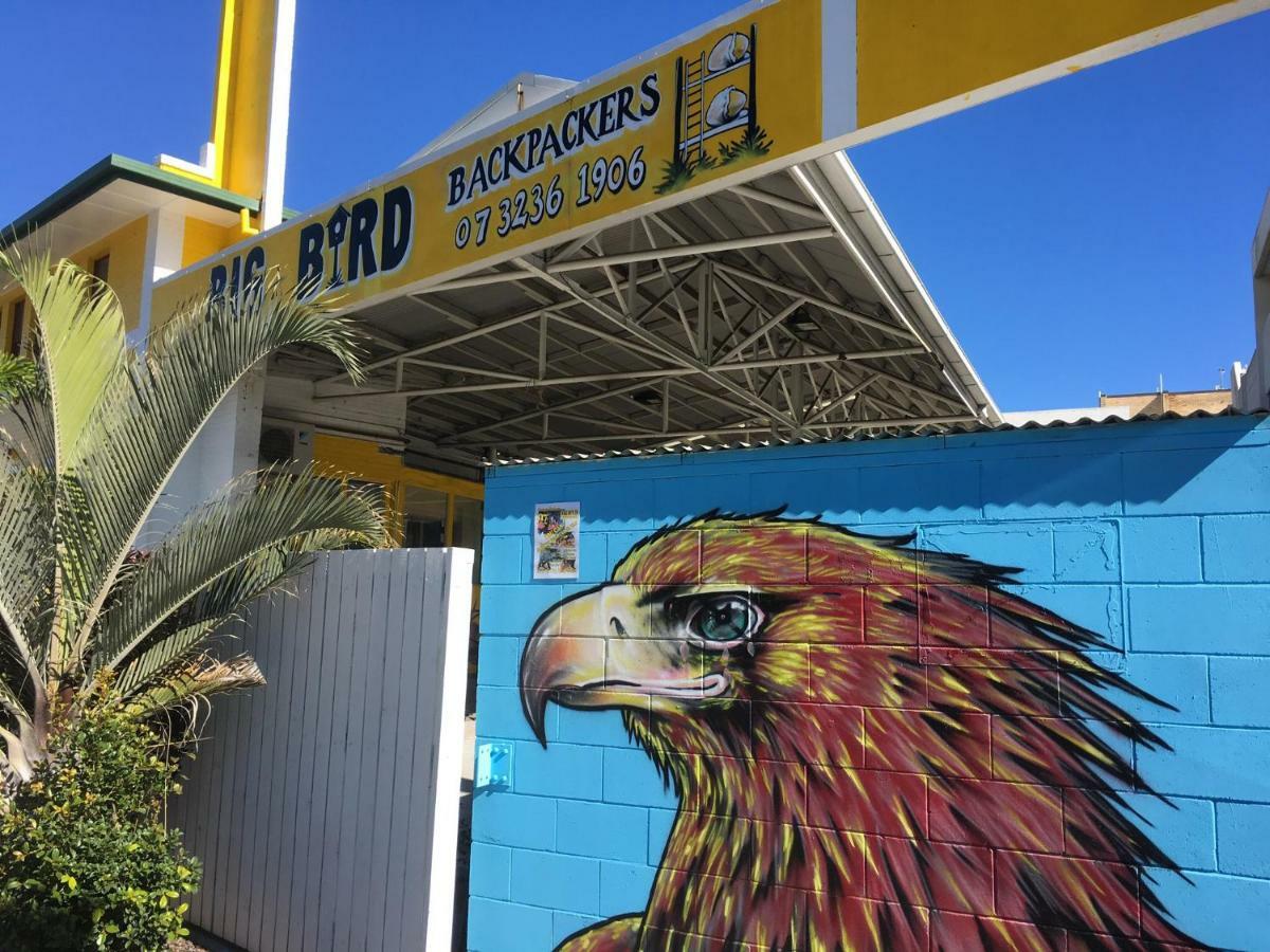 نزل بريزبينفي Big Bird Backpackers المظهر الخارجي الصورة